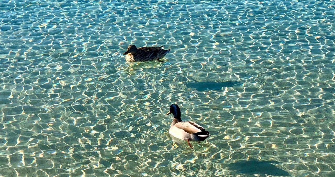 Villa Giorgia - Vivi Salento Porto Cesareo Esterno foto